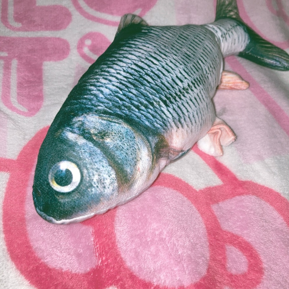 Goofy Realistic Fish Plush